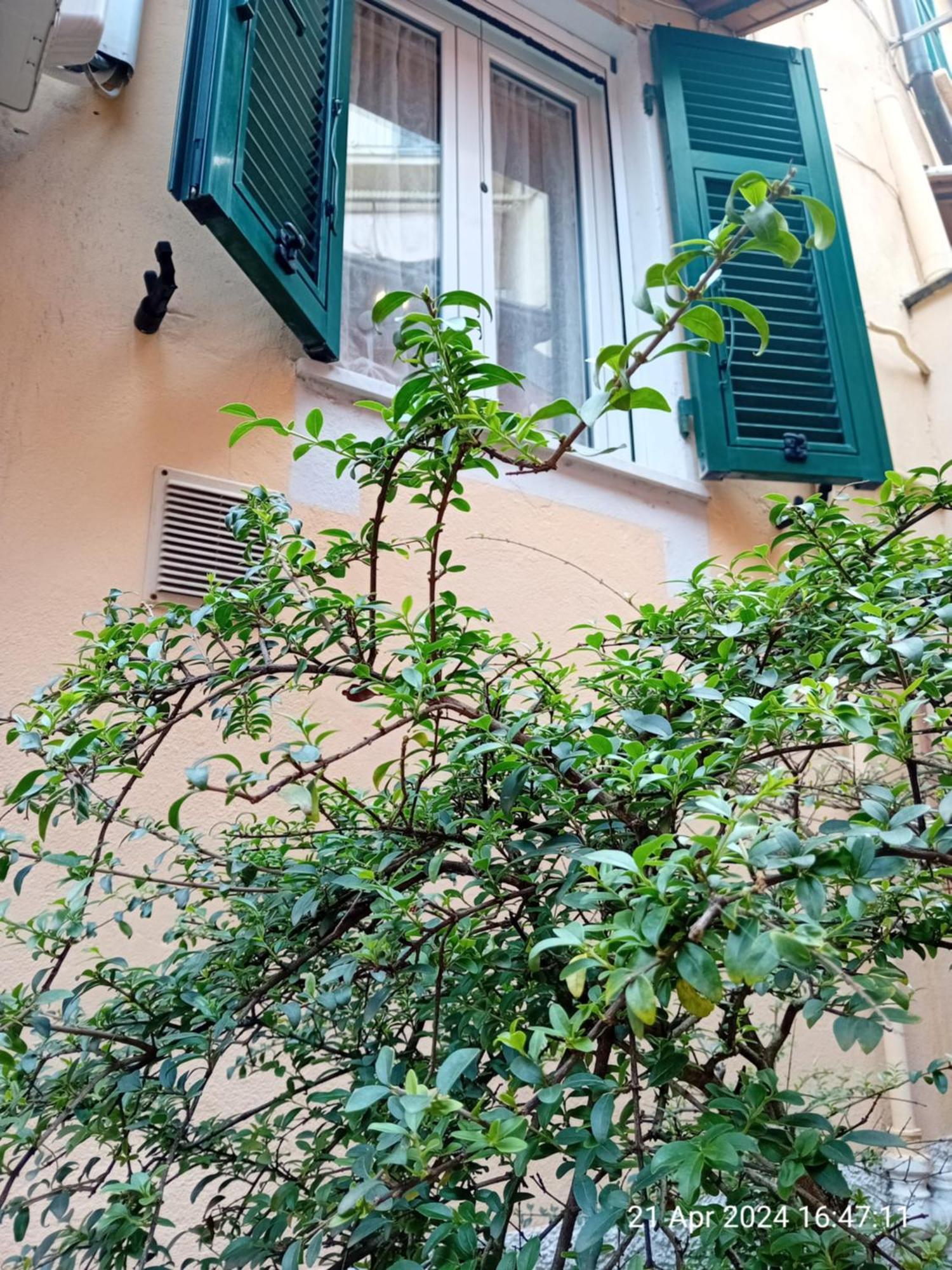 Appartamento Il Vicolo La Spezia Cinque Terre Exteriör bild