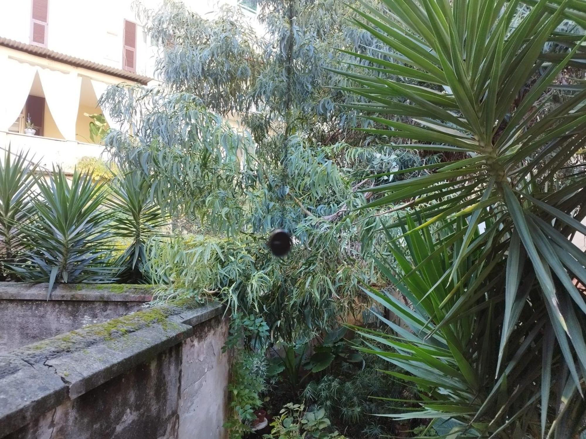 Appartamento Il Vicolo La Spezia Cinque Terre Exteriör bild